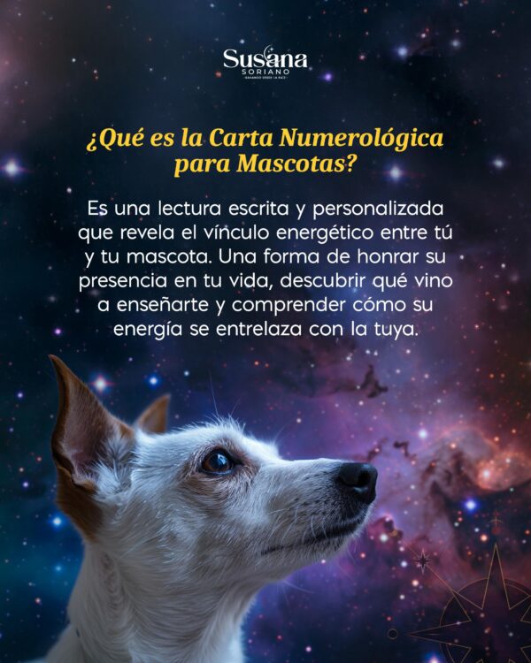 Carta númerologica para tu mascota - Image 2
